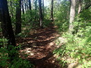 photo thumbnail #7