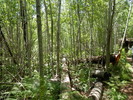 photo thumbnail #8