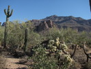 photo thumbnail #4