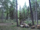 photo thumbnail #3