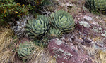 photo thumbnail #11