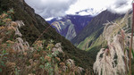 photo thumbnail #13