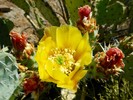 photo thumbnail #10