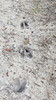 photo thumbnail #15