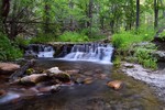 photo thumbnail #3