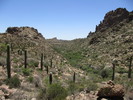 photo thumbnail #4