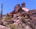 photo thumbnail #5