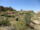 photo thumbnail #8