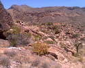 photo thumbnail #12