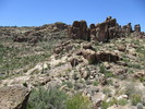 photo thumbnail #13