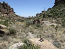 photo thumbnail #15