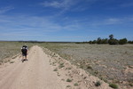 photo thumbnail #8