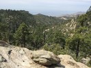 photo thumbnail #8