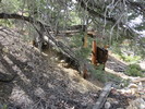 photo thumbnail #12