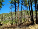 photo thumbnail #10