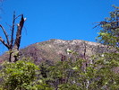 photo thumbnail #11