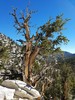photo thumbnail #15
