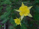photo thumbnail #4