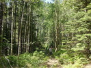 photo thumbnail #7