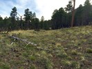 photo thumbnail #7