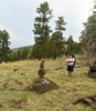 photo thumbnail #13
