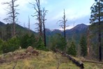 photo thumbnail #14