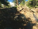 photo thumbnail #15