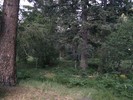 photo thumbnail #12
