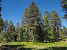 photo thumbnail #1