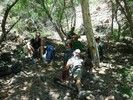 photo thumbnail #3