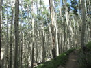 photo thumbnail #14