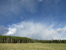 photo thumbnail #15