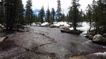 photo thumbnail #11