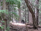 photo thumbnail #8