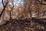 photo thumbnail #13