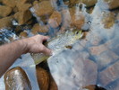 photo thumbnail #13