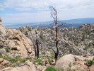 photo thumbnail #3