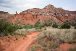 photo thumbnail #2