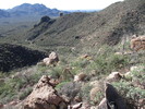 photo thumbnail #7