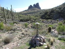 photo thumbnail #8