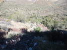 photo thumbnail #11