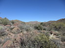 photo thumbnail #12