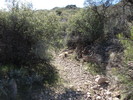 photo thumbnail #14