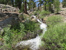 photo thumbnail #6