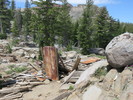photo thumbnail #9