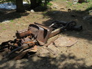 photo thumbnail #12