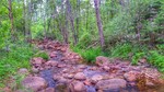 photo thumbnail #11