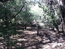 photo thumbnail #11