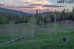 photo thumbnail #11
