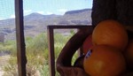 photo thumbnail #1